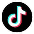 TikTok Instant Form As Lead Source